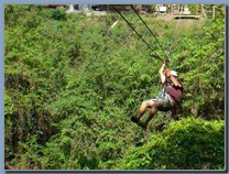 Rainforest tours