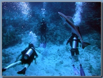 Scuba diving in Antigua